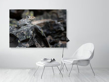 Load image into Gallery viewer, 5181811-1180797
