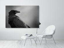 Load image into Gallery viewer, 5181758-1180997
