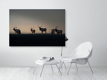 Load image into Gallery viewer, 5181804-1180785
